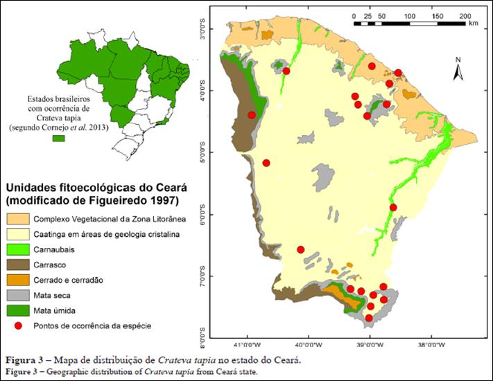 Desmatamento: Uso Sustentável: Um dos problemas da Caatinga é o desmatamento causado pelo uso da madeira para energia. Um terço da energia da região é à lenha.