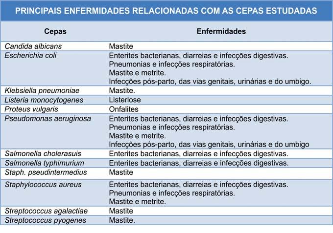 Figura 1. Transferência dos cilindros carreadores da placa de petri para os tubos de ensaio.