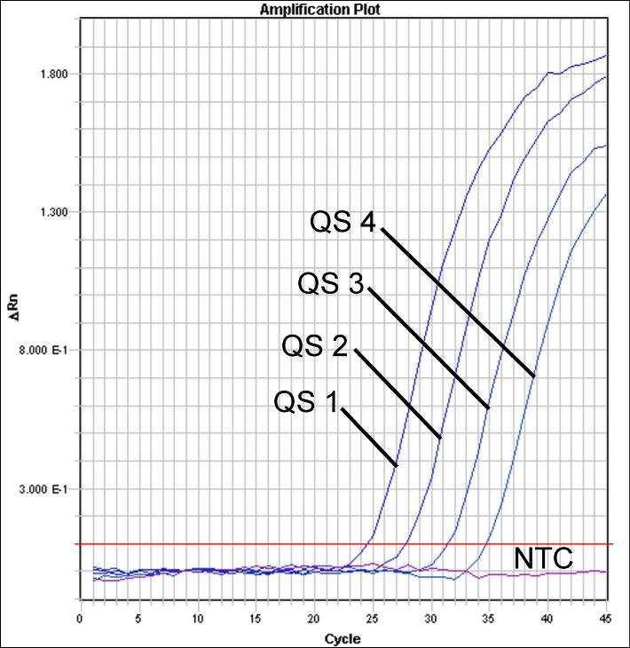 Fig. 24: Detecção dos Padrões de quantificação (HSV1 LC/RG/TM QS 1-4) através da detecção de um sinal de fluorescência