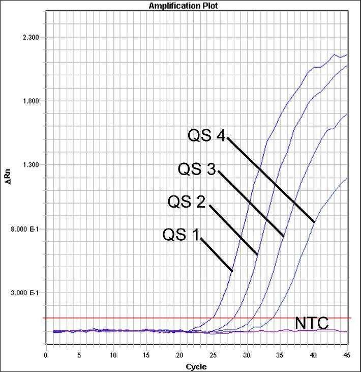 Fig. 26: Detecção dos Padrões de quantificação (HSV2 LC/RG/TM QS 1-4) através da detecção de um sinal de fluorescência