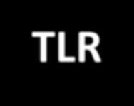 Reprodução Taxa Líquida de Reprodução (TLR) A TLR, portanto, representa bem a capacidade de reprodução de uma população.