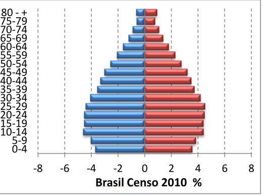 estrutura da