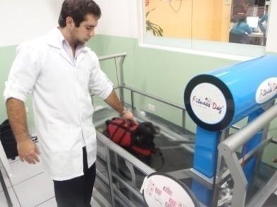 Prestamos apenas serviço de Fisioterapia Veterinária em São Bernardo do Campo região
