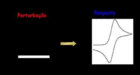 16 1 INTRODUÇÃO 1.