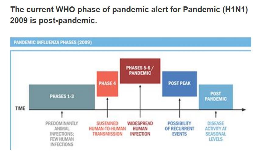 Organização Mundial da Saúde e as epidemias