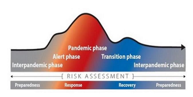 int/csr/disease/swineflu/phase/en/