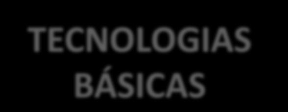 + Foco nos PROCESSOS + Foco nos INSUMOS USO DE TECNOLOGIA TECNOLOGIAS BÁSICAS TECNOLOGIAS AVANÇADAS Ajuste da carga animal Definição de uma EM Raças/cruzas