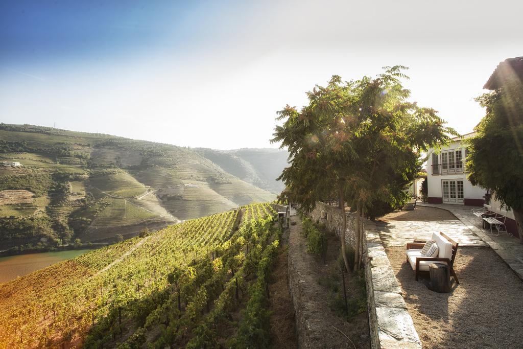 Experiencias de Enoturismo VISITAR E DEGUSTAR Winetour e visita ao Wine Museum Centre Fernanda Ramos Amorim + Almoço no Conceitus Winery Restaurant, harmonizado com vinhos Douro e Porto (para 2 pax).