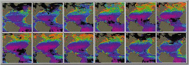 Jan FITOPLANCTON VARIAÇÃO DA PRODUÇÃO NO ATLÂNTICO NORTE http://daac.gsfc.nasa.