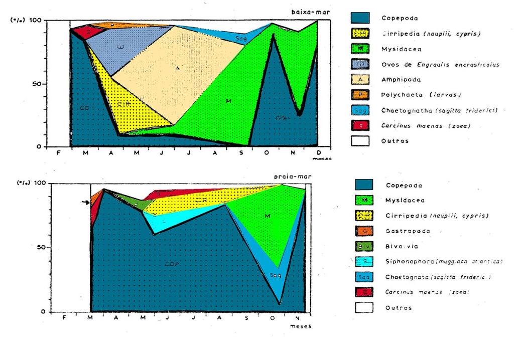 VARIAÇÕES SAZONAIS - ZOOPLANCTON (TEJO) BM PM Estuário do Tejo Percentagem