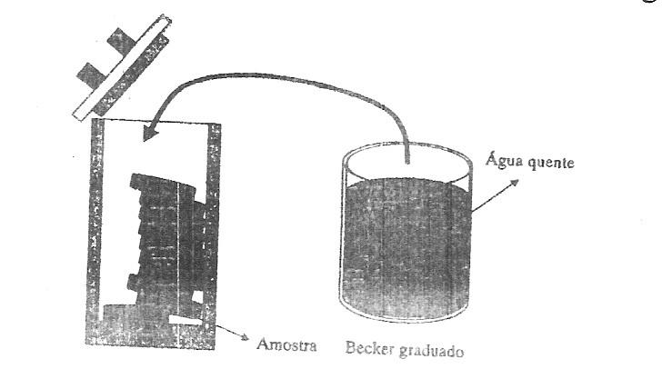 Prática 1 - Determinação da capacidade térmica do sistema adiabático A medição dos calores específicos é feito dentro de uma garrafa térmica com capacidade de 250 ml.