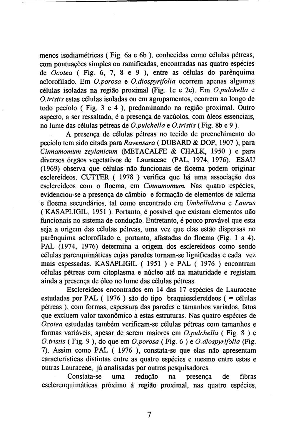 menos isodiamétricas ( Fig. 6a e 6b ), conhecidas como células pétreas, com pontuações simples ou ramificadas, encontradas nas quatro espécies de Ocotea ( Fig.