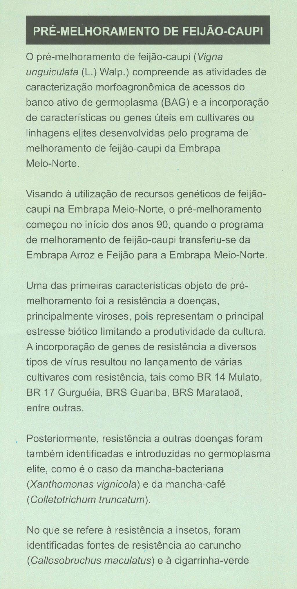 PRE-MELHORAMENTO DE FEIJAO-CAUPI o pre-melhoramento de feijao-caupi (Vigna unguiculata (L.) Walp.