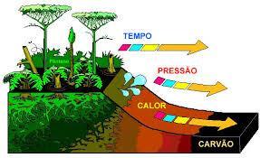 Formação