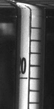 O alinhamento da escala no ponto 0,610 g/cm 3 do densímetro DN02 com a superfície do líquido de