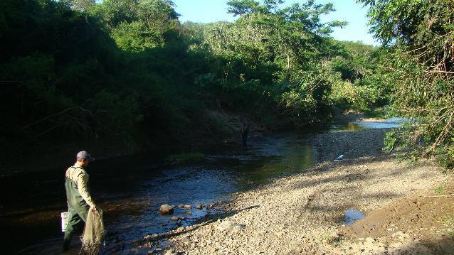 a pesca de rede de arrasto. Foto 8.