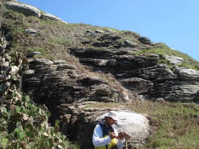 Ortognaisses das ilhas do litoral norte de SC Essa foliação foi desenvolvida em regime dúctil-rúptil a dúctil, gerando protomilonitos e milonitos.