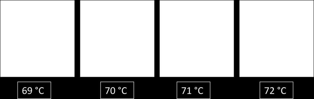 A cristalinidade não é um pré-requisito de birrefringência [55]. Na figura 10 pode ver-se um grânulo de amido nativo a perder a cruz de malta (birrefringência) com o aumento da temperatura da amostra.