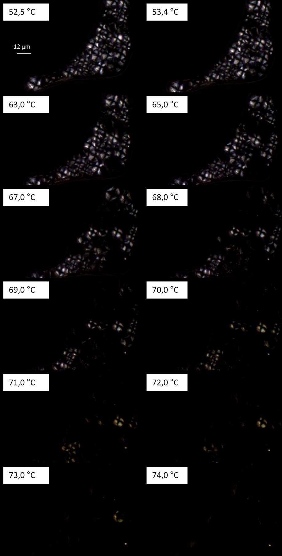 Figura 11 - Evolução da perda de birrefringência dos grânulos de