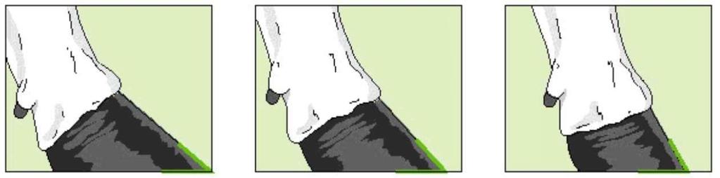 Ângulo do pé Ponto de referência: Ângulo medido entre a base do pé e a vista