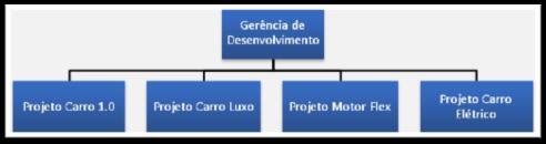 Departamentalização por Projeto Projeto = união de recursos por um período específico, para realizar um trabalho específico, sob a responsabilidade de um coordenador.