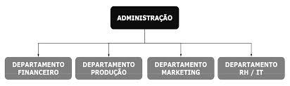 2.3. Estrutura Linear É uma estrutura simples, porém com vários níveis hierárquicos. É do tipo piramidal.