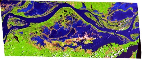 Figura 1 Planície do Lago Grande de Curuai A planície recebe diferentes volumes de águas brancas, que ocorrem em maior proporção e vêm do rio Amazonas, águas claras, provenientes de pequenos rios da