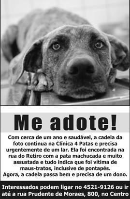 Interessados, falar com Monica: monica.julia@terra.com.br / 9617-0092 Essa cachorrinha não tem abrigo.