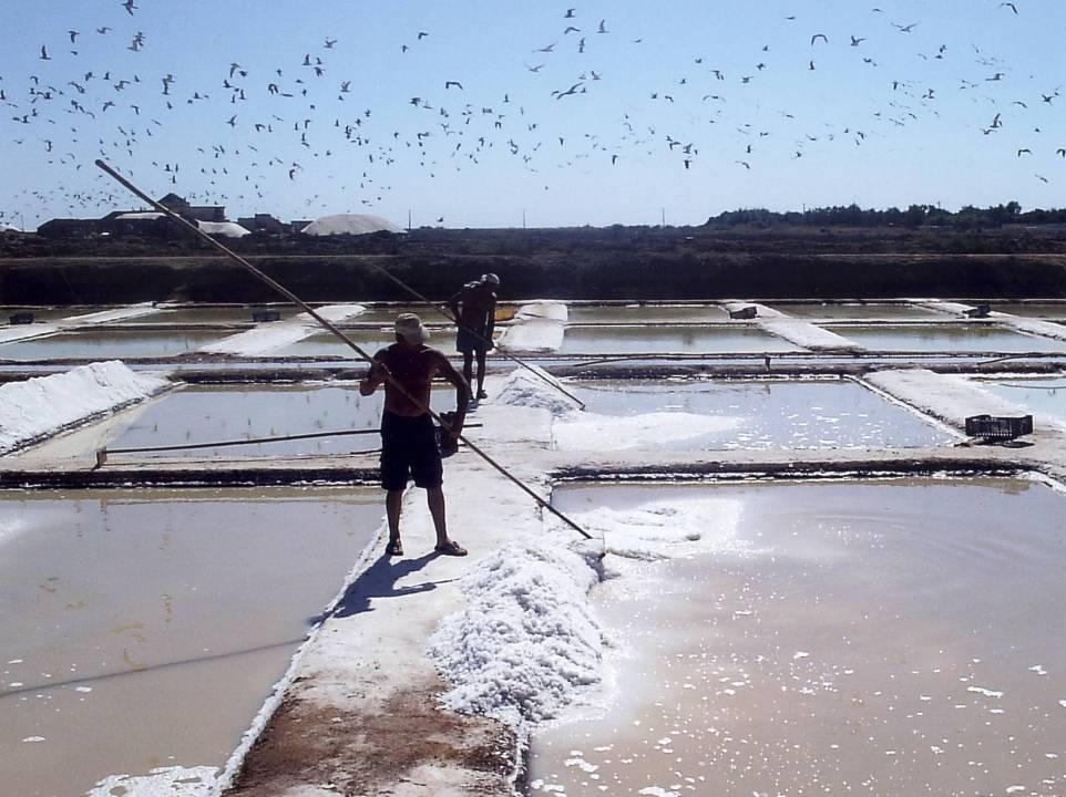 Os Produtos do Mar Actividade salineira do período islâmico à