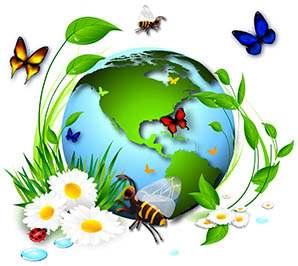 3. Principais questões Ambientais: As principais