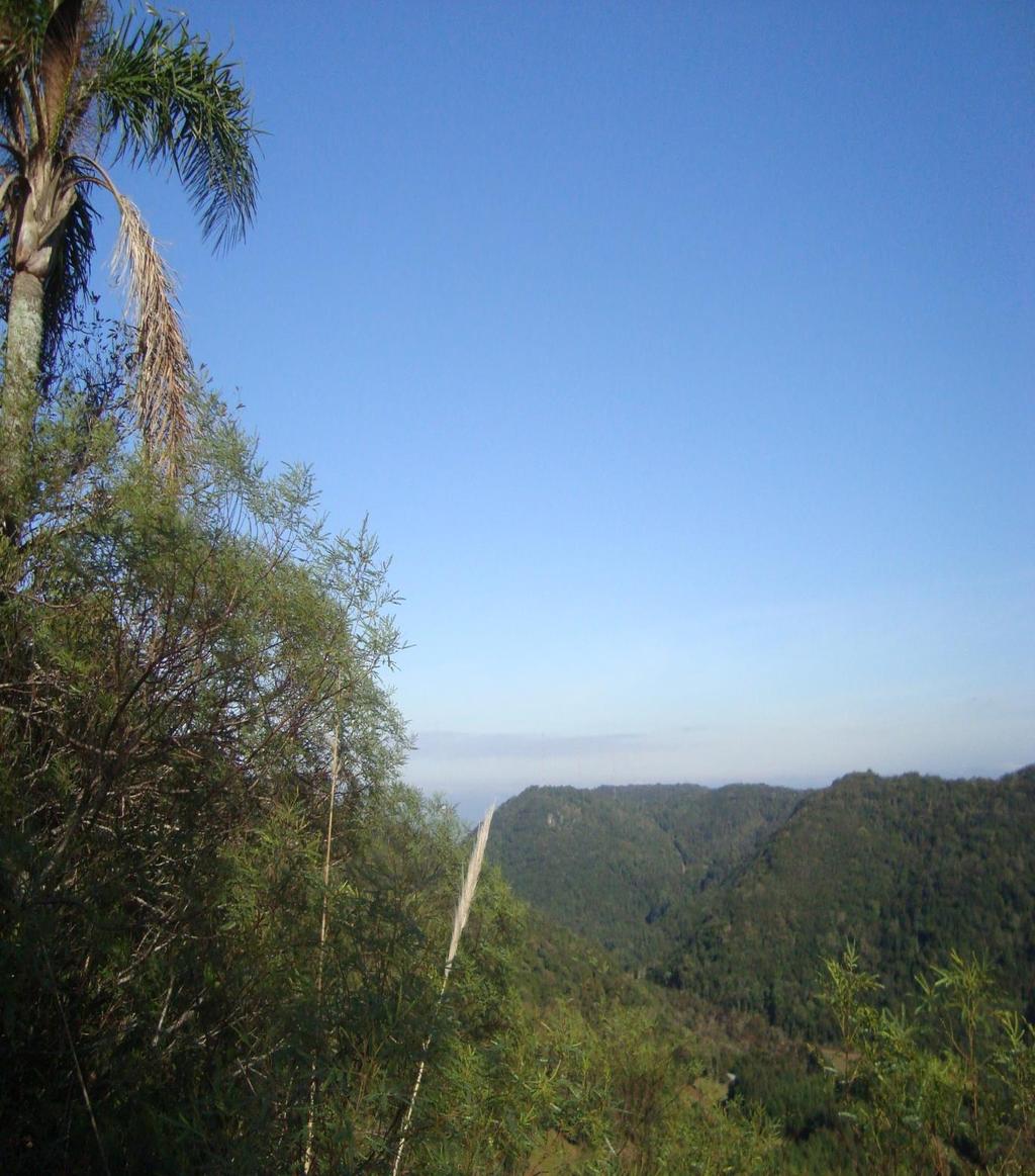 Olhe no fundo dos olhos de um animal e, por um momento, troque de lugar com ele. A vida dele se tornará tão preciosa quanto a sua e você se tornará tão vulnerável quanto ele.