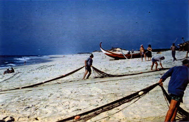 cortes eólicos (b) e cortes de galgamento oceânico (c). (Foto A.Dias 14.JAN.94) Figura 3.19 - Praia dos Marretas.