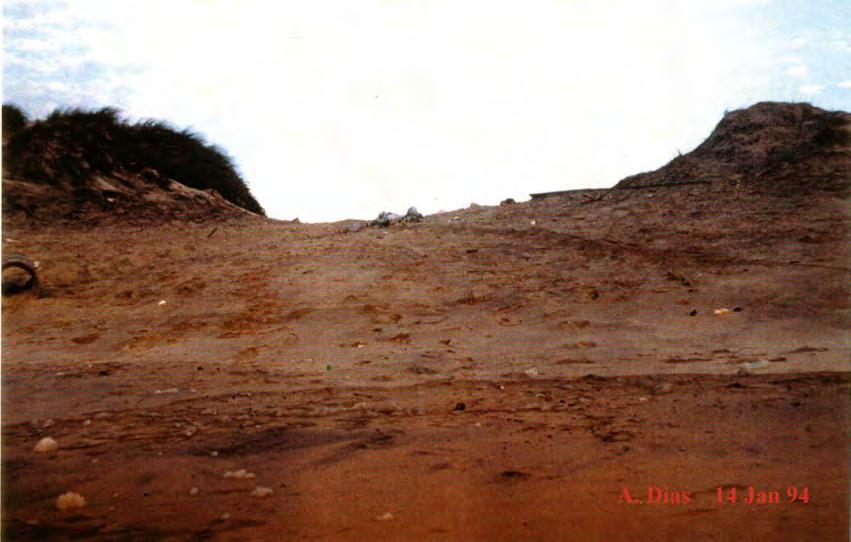 Vagueira Sul. Note-se, ainda, a grande escarpa de erosão na adjacência da obra de defesa e vestígios vários de estragos causados por estes pequenos temporais.