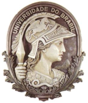 UNIVERSIDADE FEDERAL DO RIO DE JANEIRO UFRJ Danillo de Jesus Ferreira Leite A