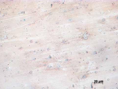 O primeiro ataque foi realizado com 10% de metabissulfito de sódio (10 g de Na 2 S 2 O 5 ), diluído em 100 ml de água destilada. A amostra foi mantida por 20 segundos na solução.