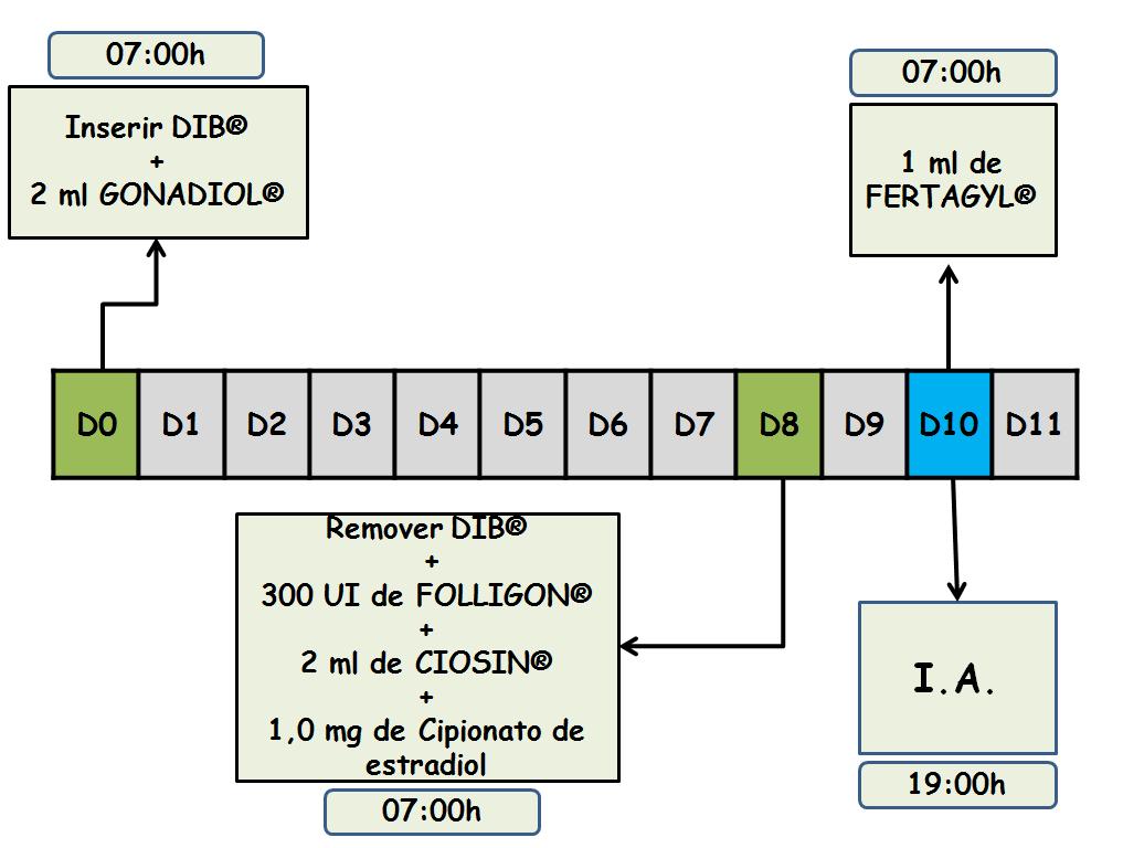 49 Figura 11- Protocolo de IATF com sêmen sexado Fonte: Adaptado de Intervet, [20--].