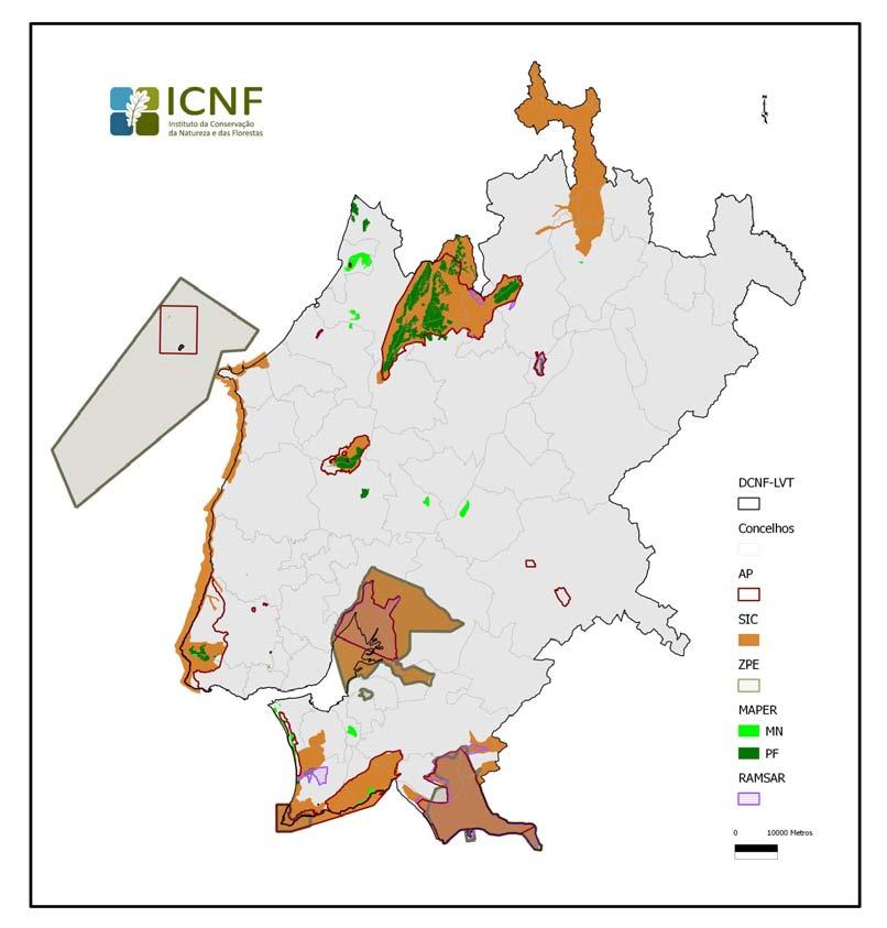 Departamento de Conservação da Natureza e Florestas de