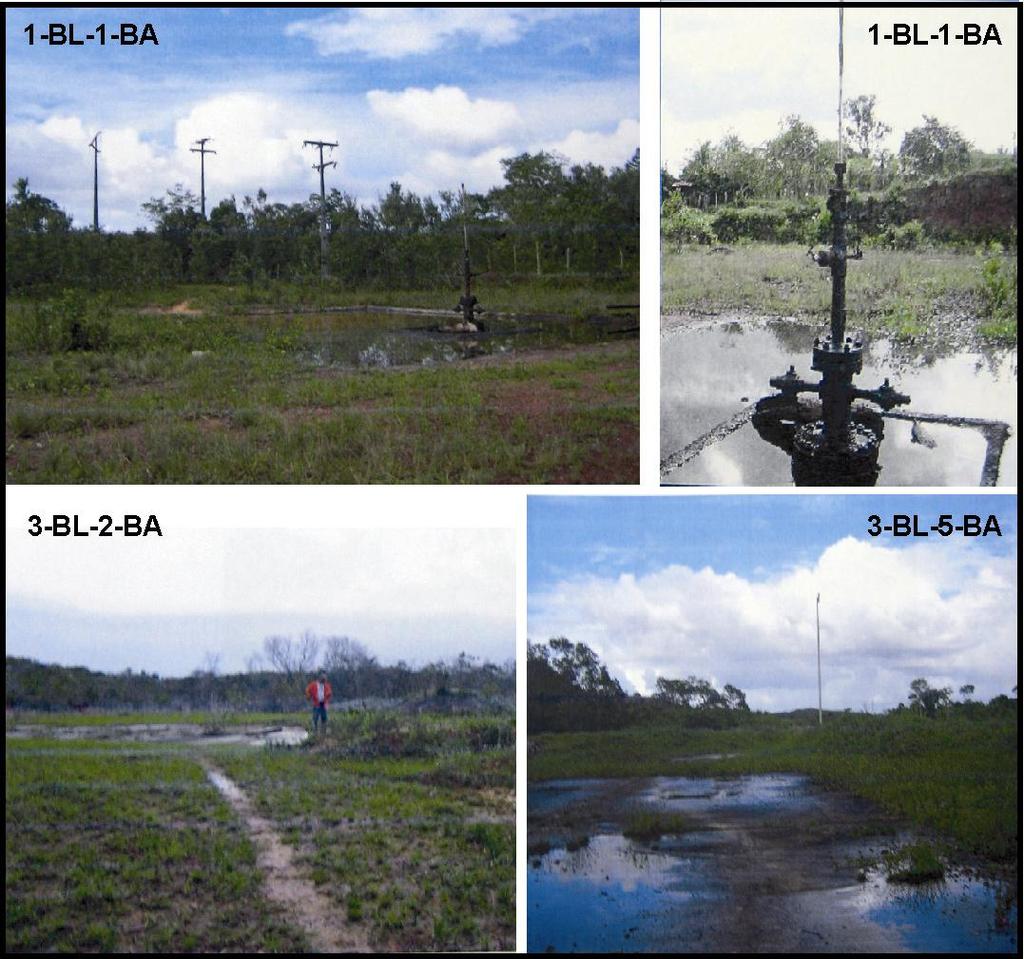 Figura 28: Fotos das áreas onde foram perfurados os poços do campo de Bom Lugar. 4.2.6.