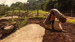 Situação atual: principais resultados Garantia da segurança de estruturas remanescentes Monitoramento da qualidade da água Plano de Manejo de Rejeitos Infraestrutura: obras de reconstrução