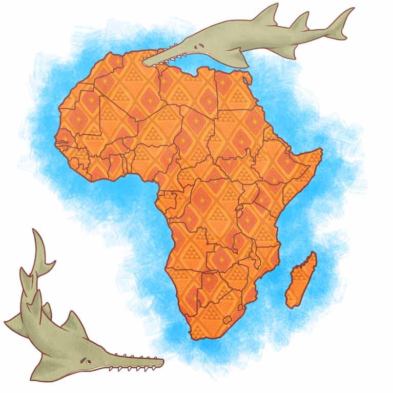 Os tubarões-serras têm muitos nomes diferentes em diferentes partes de África.