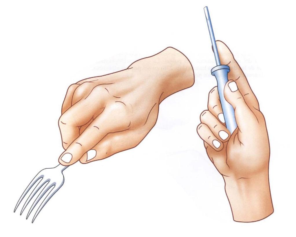 O polegar realiza a oposição ao anular e conjutamente com o dedo indicador, o médio, eminência tenar e pelo dedo mínimo realiza o