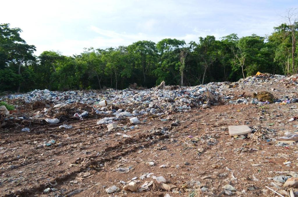 Paisagem Foi modificada em função da degradação da área, alterando sua paisagem causando impacto visual.