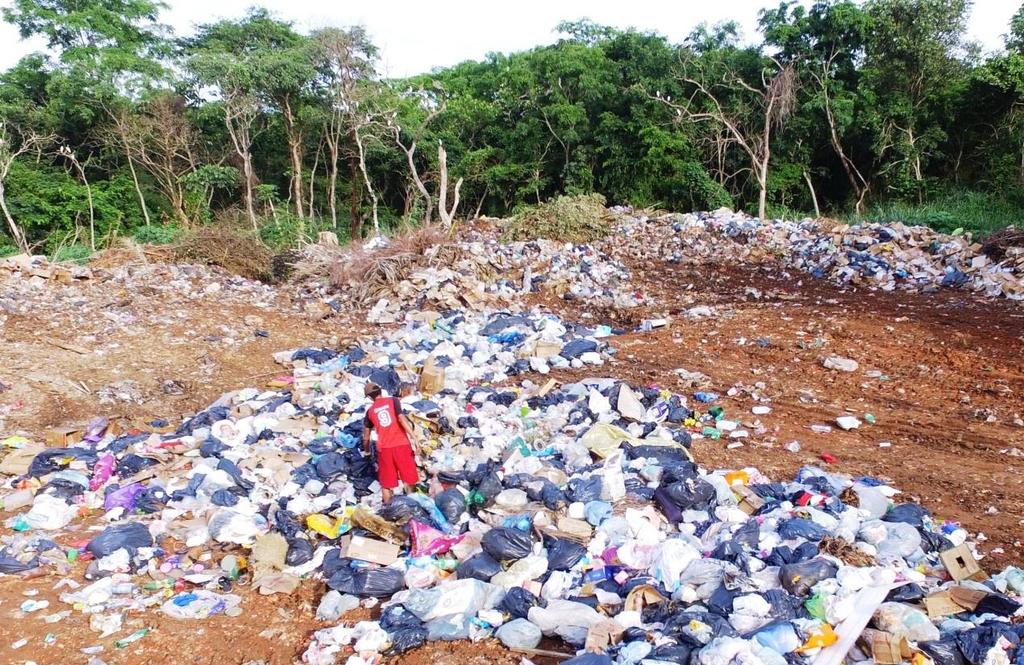 devido à destruição do ecossistema que possibilitava a população da vida animal, dispersando para outras áreas e