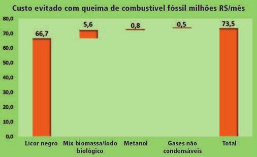 economicamente viável e ambientalmente correta quando abre possibilidade a redução de combustíveis fósseis. Costa Neto et al.