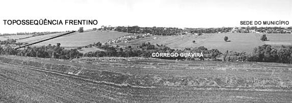 Figura 2 Vista da margem direita do Córrego Guavirá e localização da Toposseqüência de solos