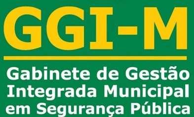 GESTÃO INTEGRADA DE SEGURANÇA PÚBLICA O que é? Concepção de gestão integrada entre diversos órgãos que atuam no município, por meio de reuniões, planos, programas e ações conjuntas.