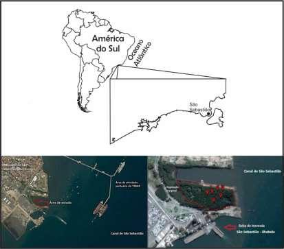 Figura 1: Localização da área de estudo O bosque de mangue em questão está situado na margem do canal de São Sebastião, ao lado da área de operações da balsa que liga o continente (município de São