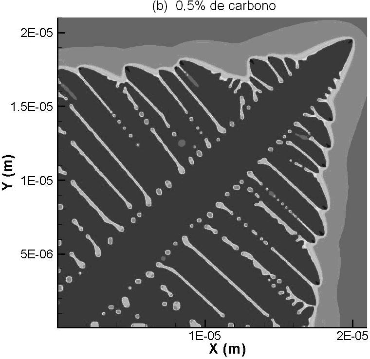 Figura 4 Morfologia dendrítica para (a) 0.4% de carbono; (b) 0.5% de carbono; (c) 0.6% de carbono e (d) 0.7% de carbono em fração molar. Através da analise da Fig.