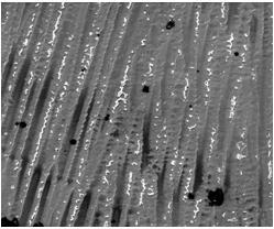 Segmentação Análise das fases secundárias em materiais em imagens de microscopia
