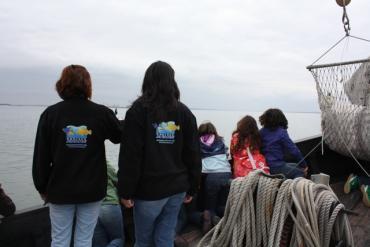 o ambiente marinho que as rodeia. Aspectos da fauna marinha foram abordados, passando pelas aves marinhas aos grandes predadores de topo como os golfinhos e tubarões.